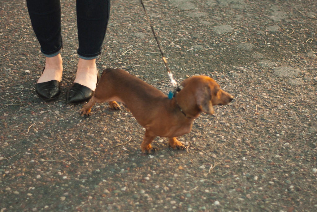 Overcoming Body Issues Karin Rambo of truncationblog.com is sharing how she overcame her body images