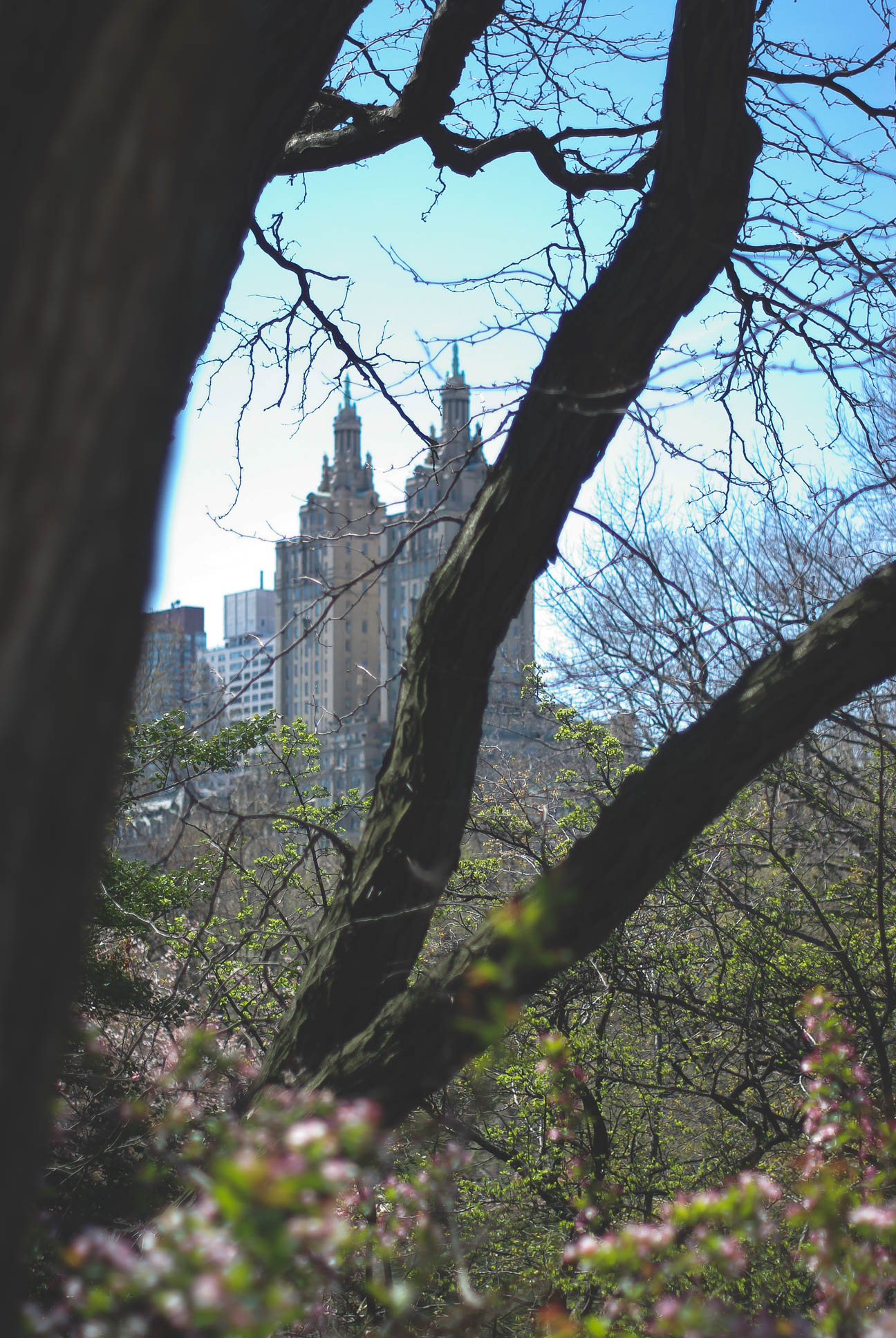 Karin Rambo of truncationblog.com shares her New York Recap 