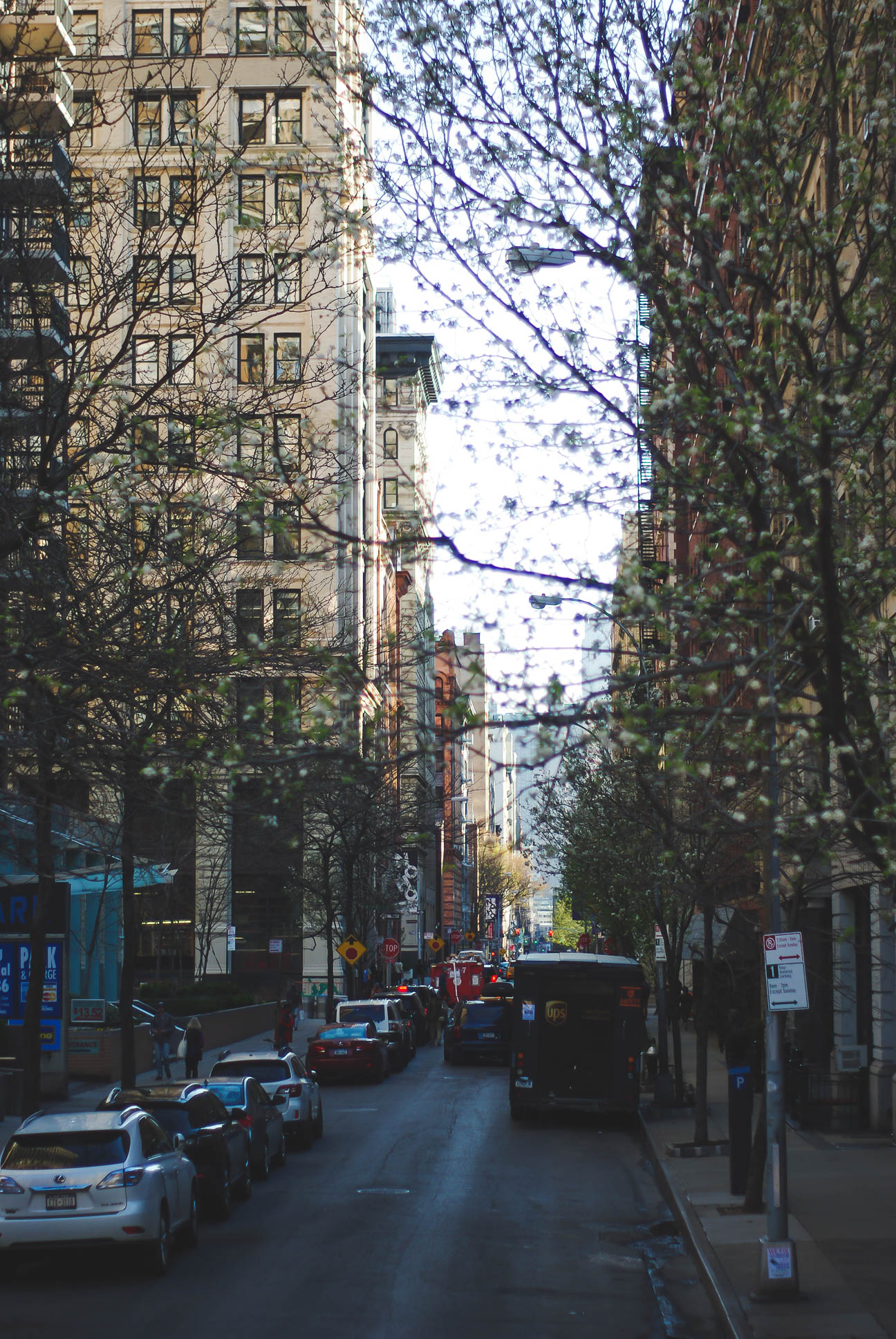 Karin Rambo of truncationblog.com shares her New York Recap