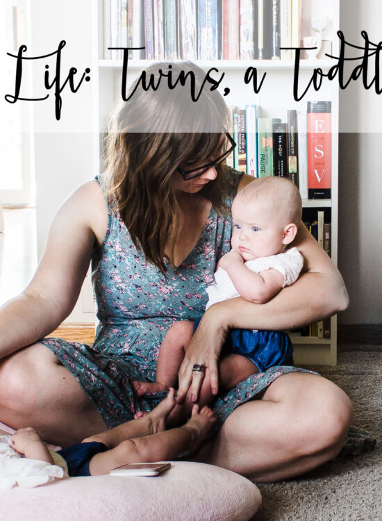 A Day In The Life Twins Toddler And Blogging