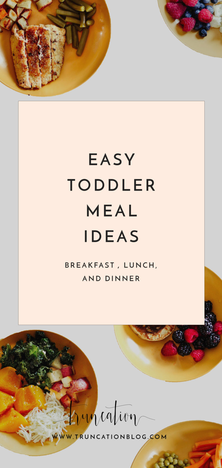 Easy Toddler Meal Ideas for Breakfast Lunch and Dinner