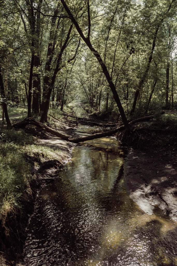 August Monthly Mantra: Wash Your Spirit Clean