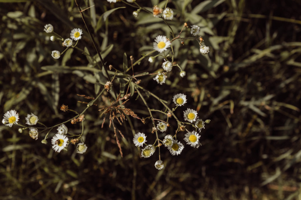 August Monthly Mantra: Wash Your Spirit Clean