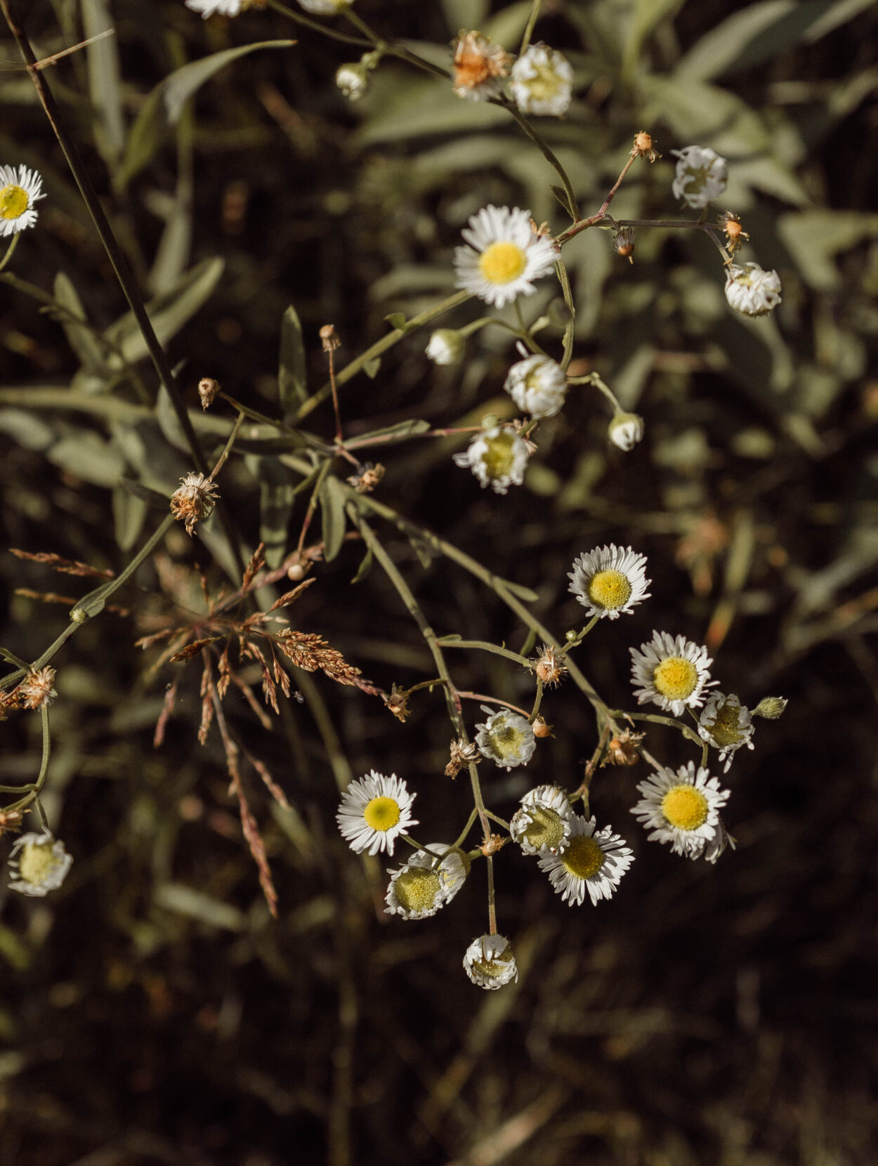 August Monthly Mantra: Wash Your Spirit Clean