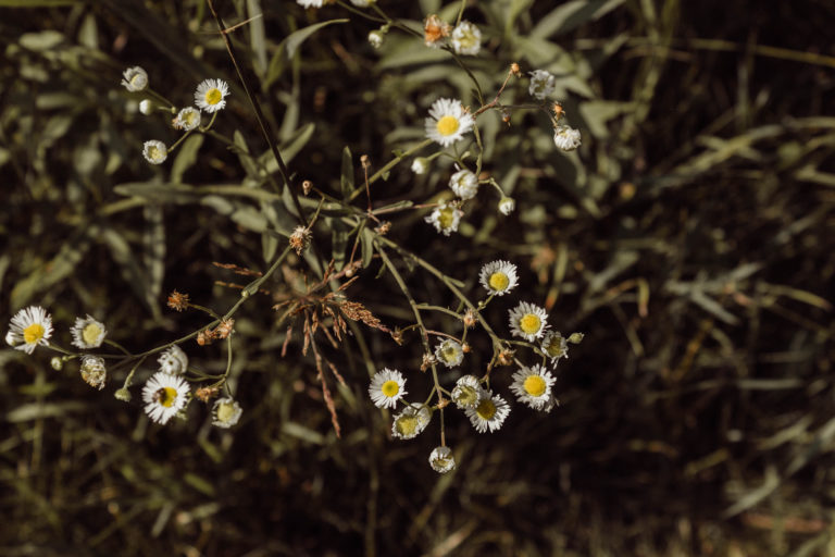 August Monthly Mantra: Wash Your Spirit Clean