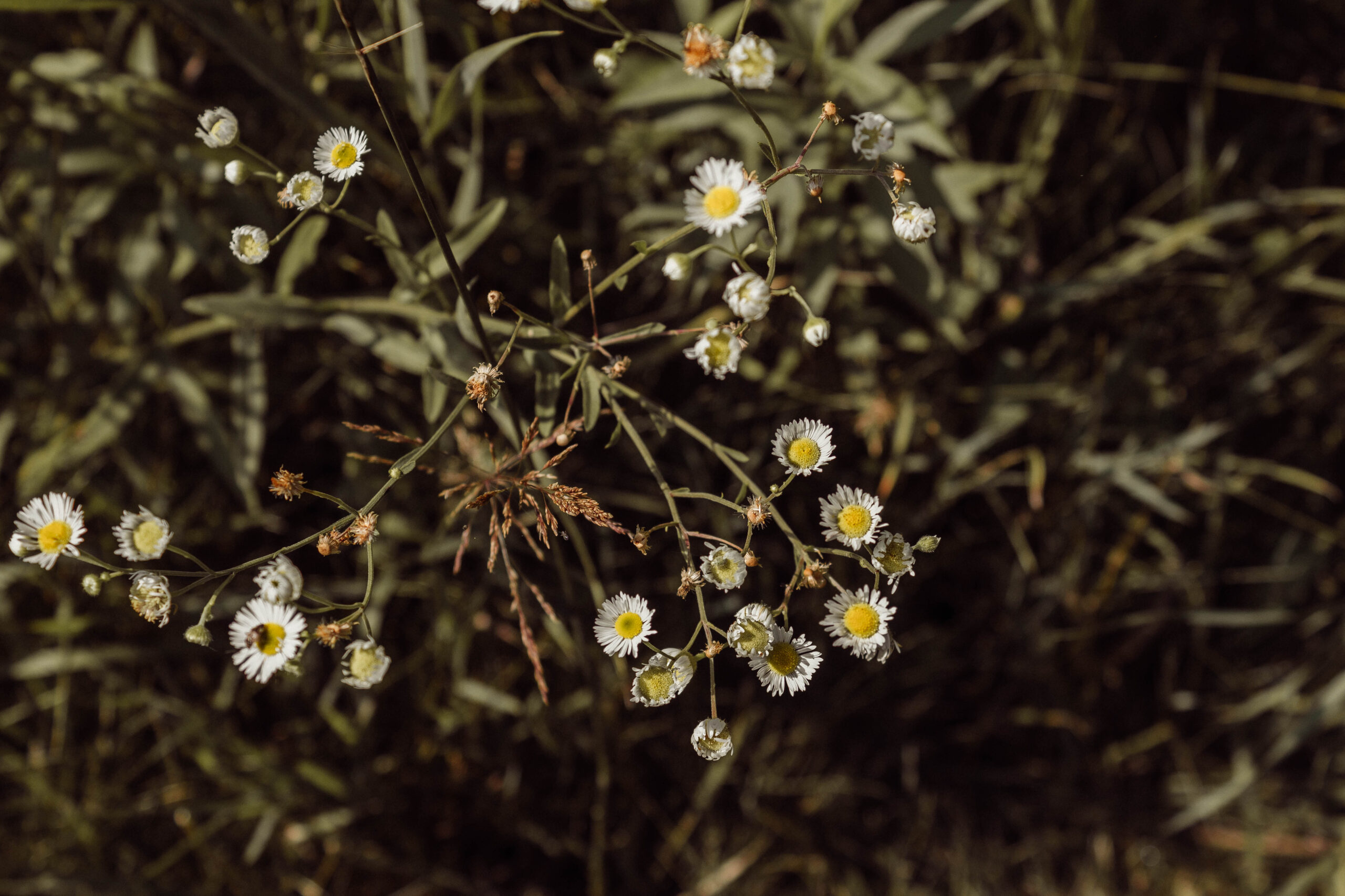 August Monthly Mantra: Wash Your Spirit Clean