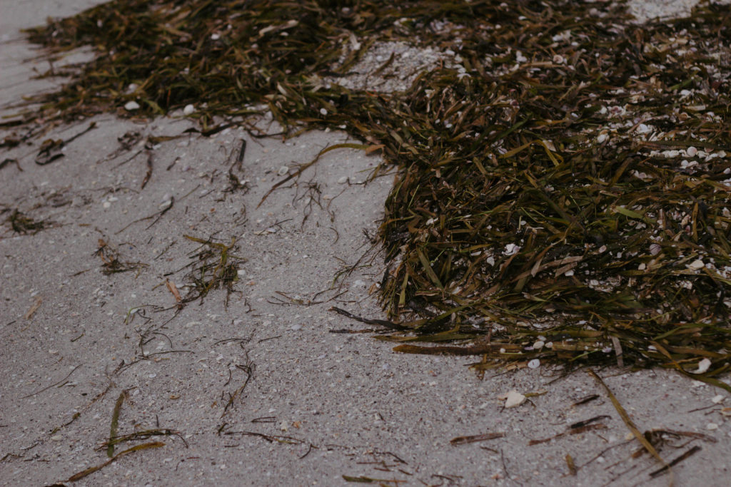 Florida Trip Day 2: Tips for Flying and Traveling with Toddlers