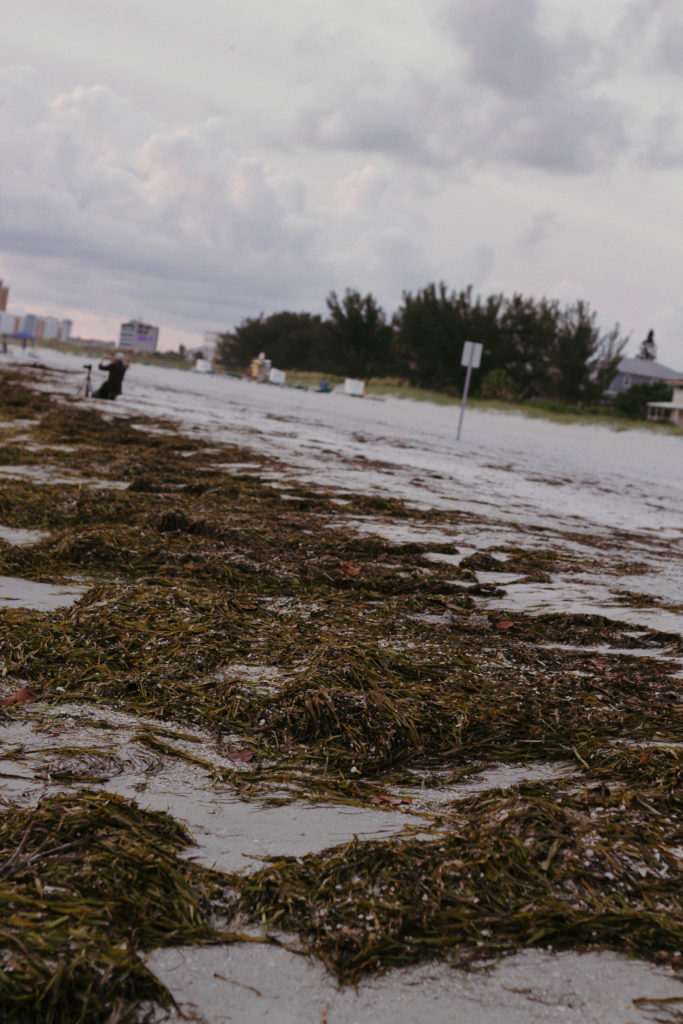 Florida Trip Day 2: Tips for Flying and Traveling with Toddlers
