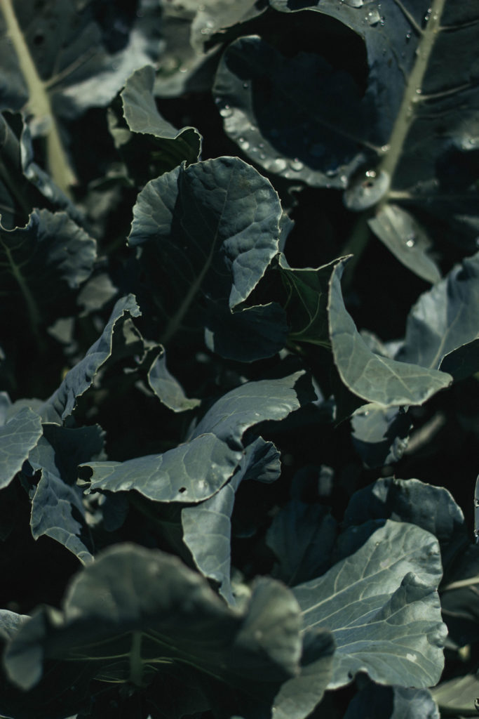 The Truncated Edit: Healthy Ways to Deal with Anxiety