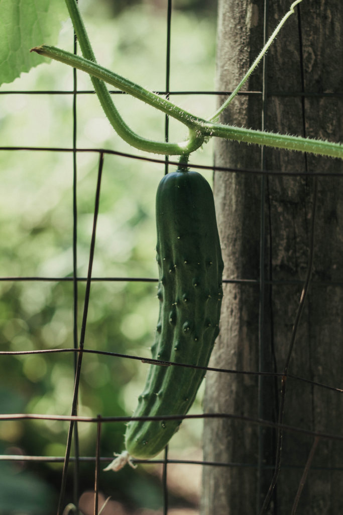 The Truncated Edit: Healthy Ways to Deal with Anxiety