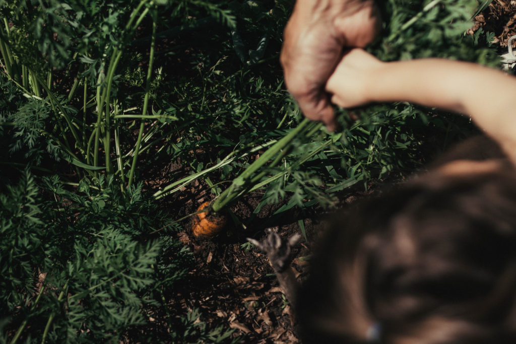 The Truncated Edit: Healthy Ways to Deal with Anxiety
