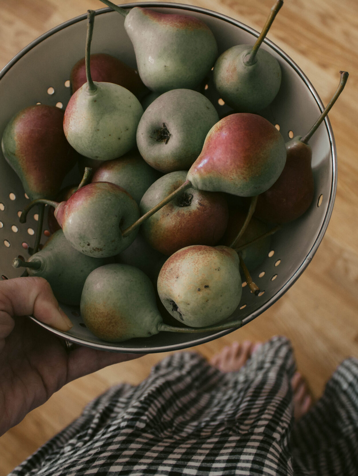 We had a cold rainy summer day so we built a fort, I spilled tea, and we ate pears