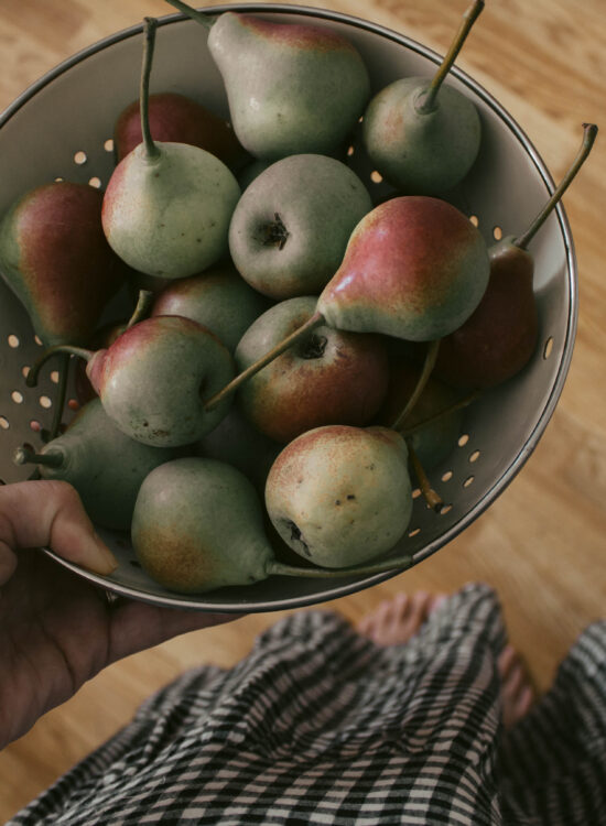 We had a cold rainy summer day so we built a fort and had a pear picnic