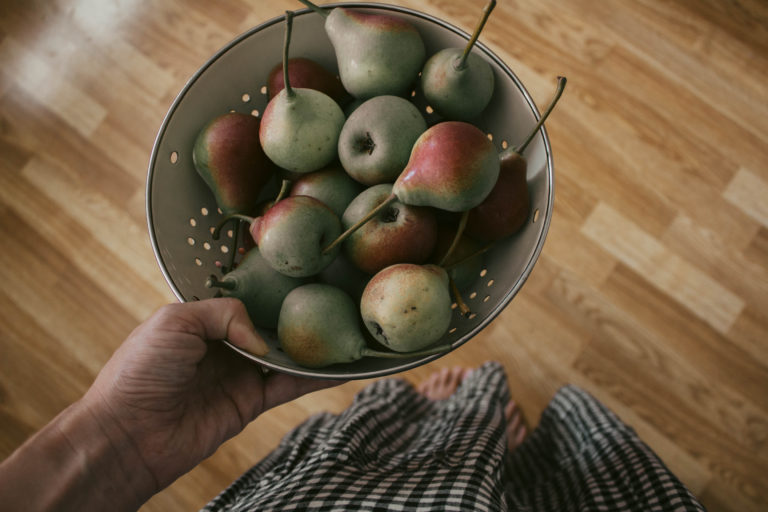 We had a cold rainy summer day so we built a fort and had a pear picnic