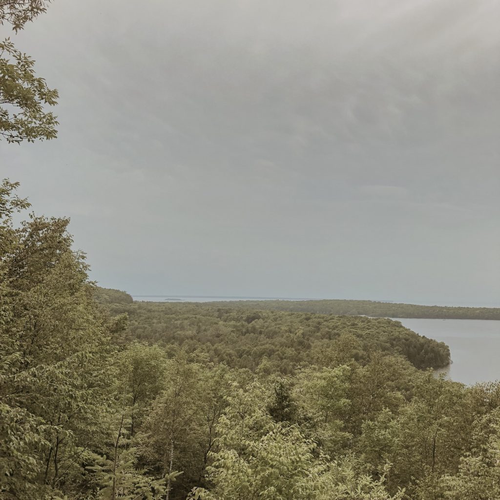 view of the tree line in peninsula state park