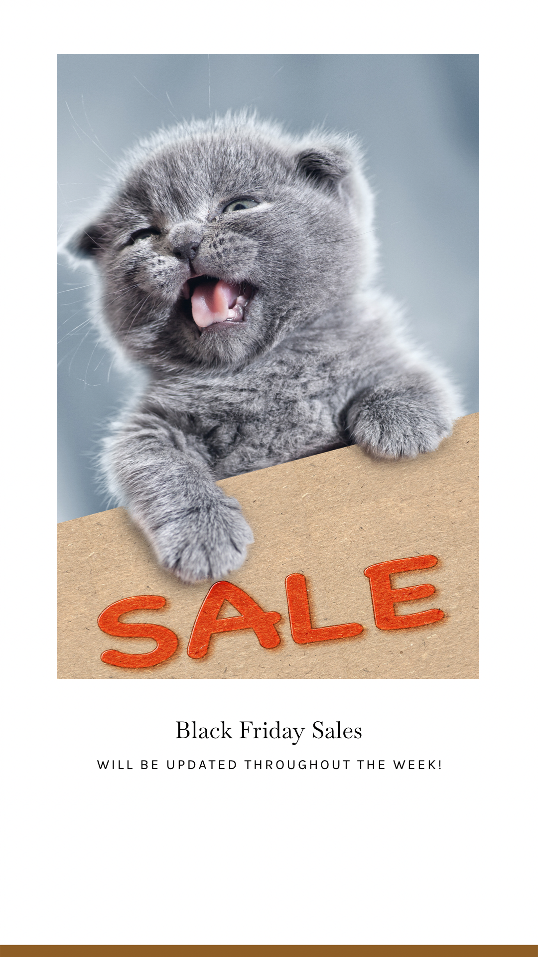 Black Friday/Cyber Monday Sale Roundup
