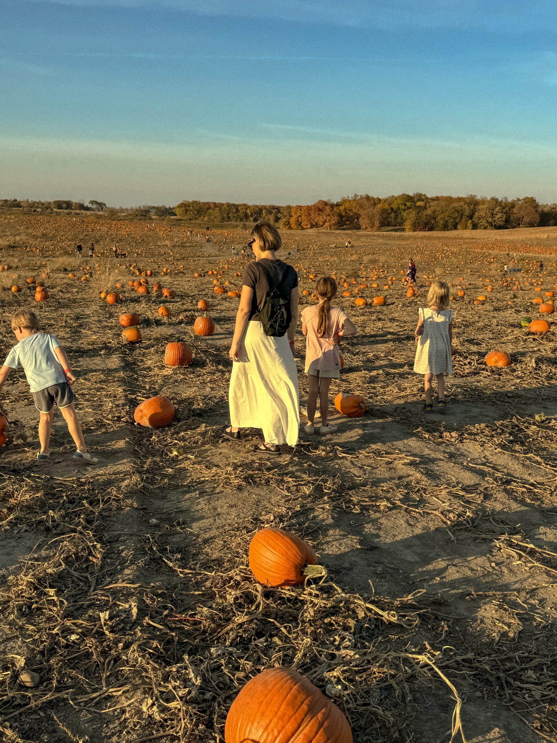 A Life update: my health, ADHD, done blogging?