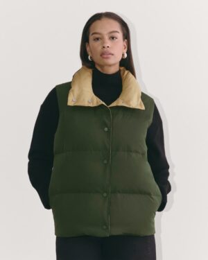 Everlane the Puffy Vest