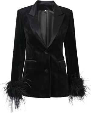 Leely Velvet Blazer with Feather Cuffs