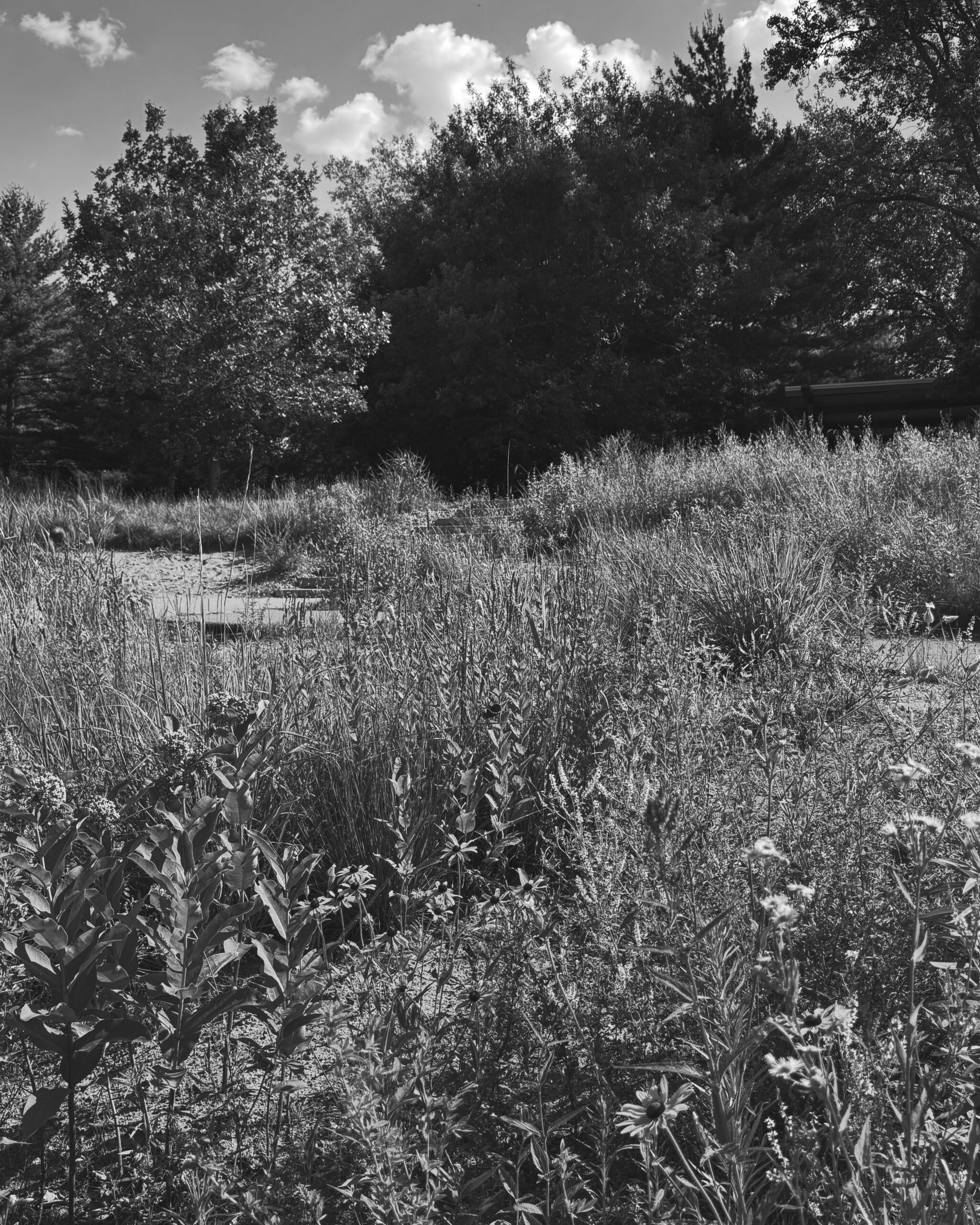 Hi Friends. It’s Been Awhile