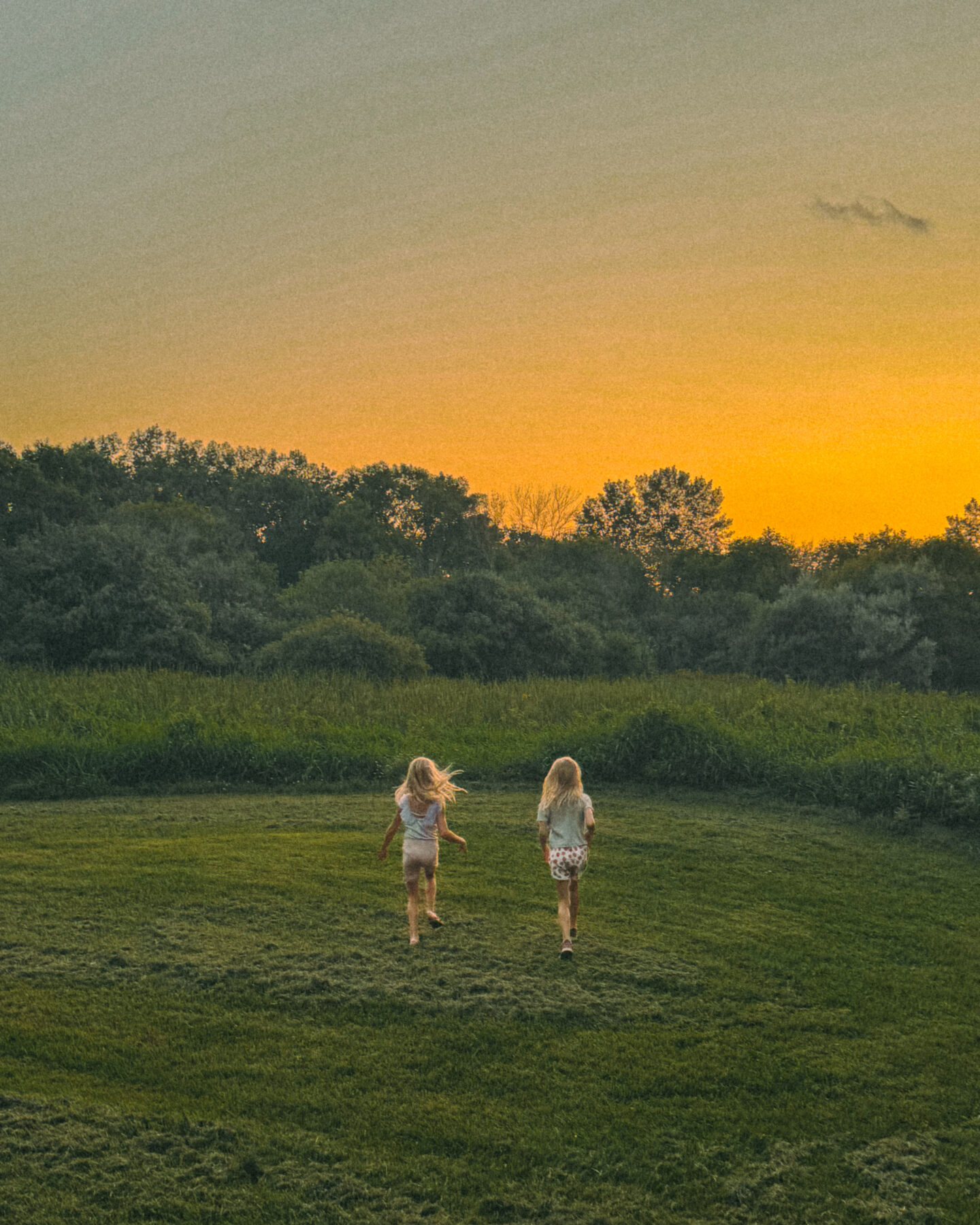Two young blonde twin girls run into a green, grassy field at sunset.